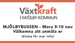 Växtkraft
